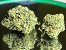 Carica l'immagine nel visualizzatore di Gallery, Northern Lights - Indoor - Small Buds - lot. 2025