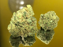 Carica l'immagine nel visualizzatore di Gallery, Northern Lights - Indoor - Small Buds - lot. 2025