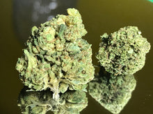 Carica l'immagine nel visualizzatore di Gallery, Northern Lights - Indoor - Small Buds - lot. 2025