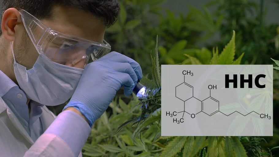HHC: il nuovo misterioso cannabinoide sintetico