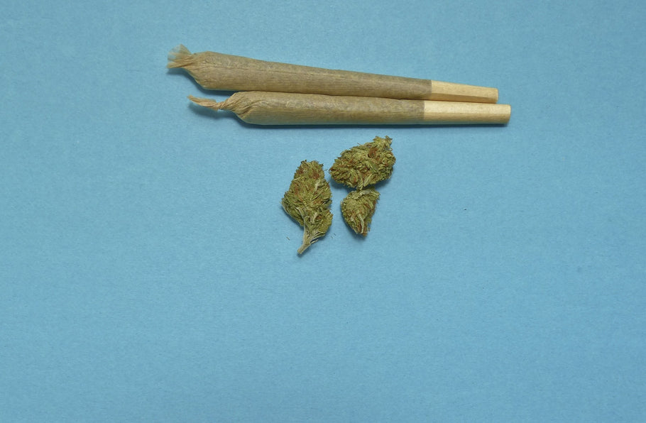 Ma il CBD è legale? La normativa in vigore