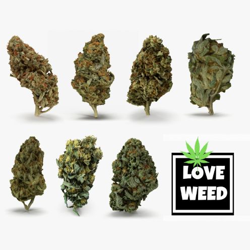 Selezione 50g  - 100%Indoor