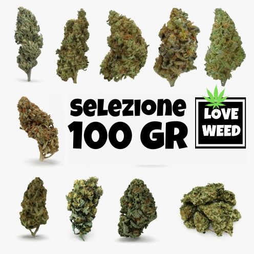 Selezione da 100g ( greenhouse/outdoor/indoor)