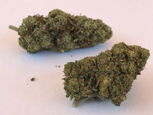 Carica l&#39;immagine nel visualizzatore di Gallery, White Widow - Big buds
