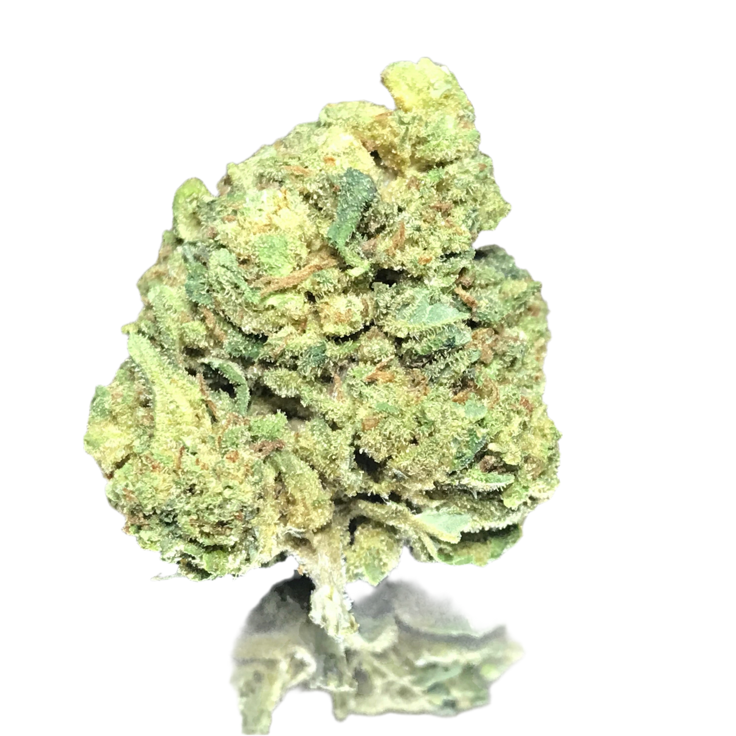 Northern Lights - Indoor - Small Buds - lot. 2025