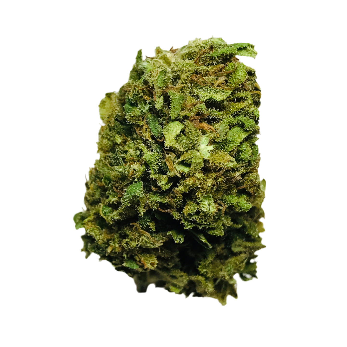 Karma Lemon - Greenhouse (🆕🌱 Nuova 2025) - 2,40€/g