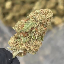 Carica l'immagine nel visualizzatore di Gallery, Amnesia Haze - Indoor - MicroBuds
