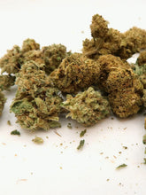 Carica l'immagine nel visualizzatore di Gallery, Bubble Gum cbd 2026
