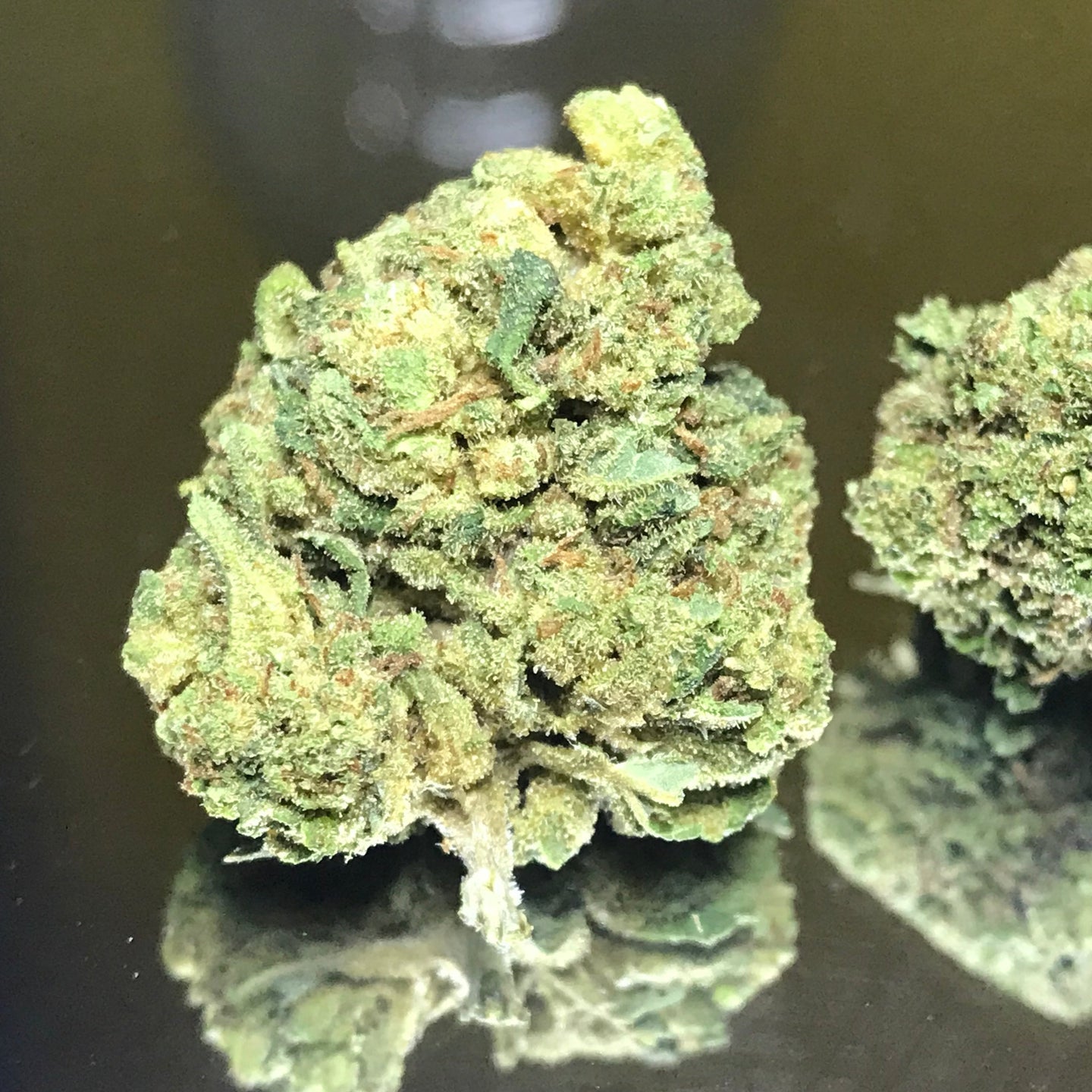 Northern Lights ❗️NEW Nov23❗️