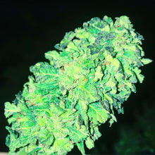 Carica l&#39;immagine nel visualizzatore di Gallery, GREEN - CBD STRONG
