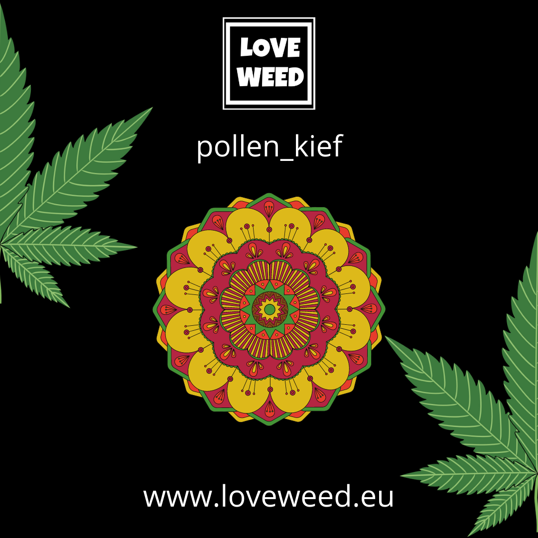 POLLINE - KIEF  - TUBETTO DA 1,5 GRAMMI
